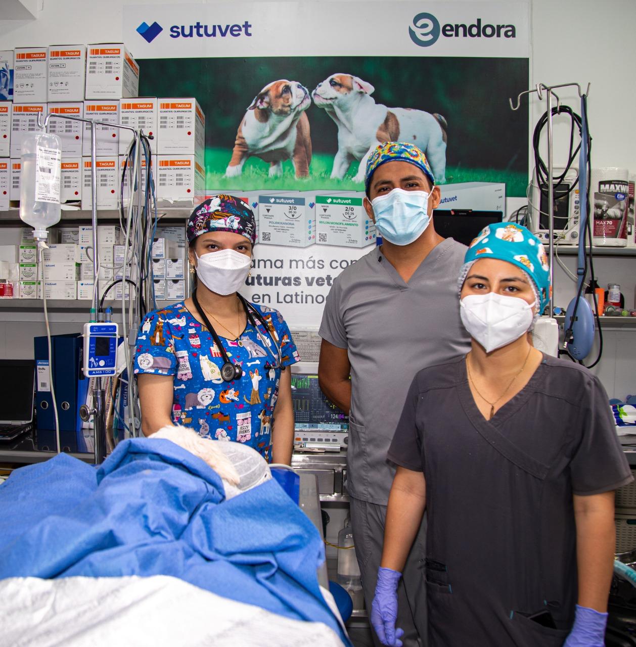 Equipo veterinario durante una jornada quirúrgica con productos SUTUVET